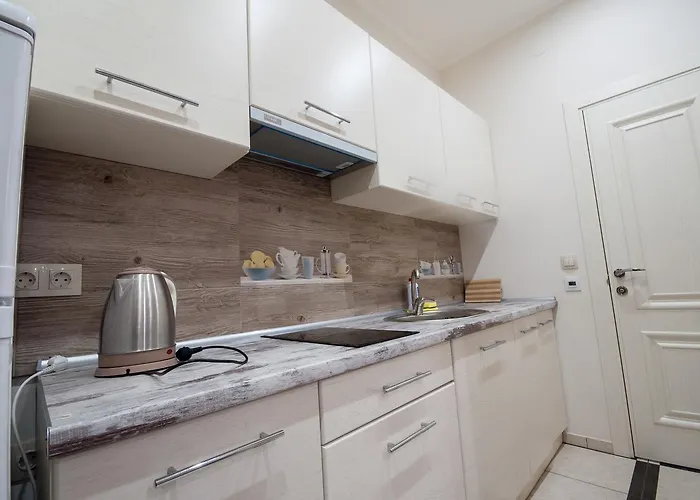 Appartement Wonderful Flat On Center *